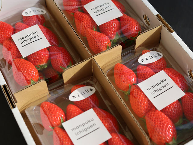 �܂�Ղ� ��������