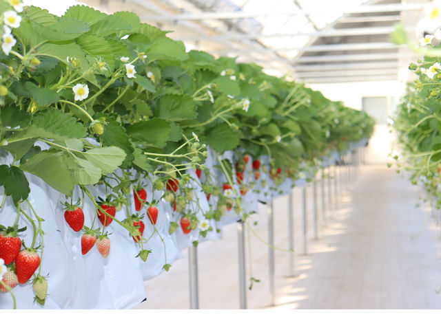 �܂�Ղ� ��������