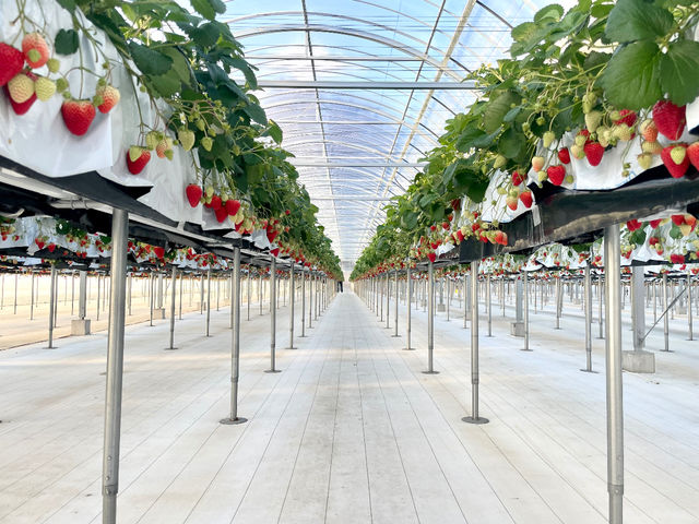 �܂�Ղ� ��������