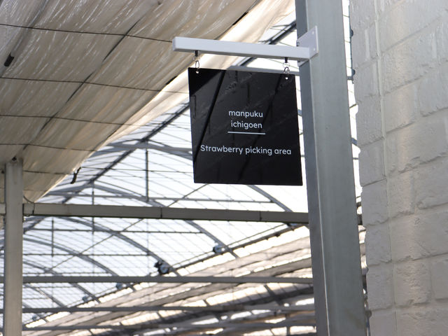 �܂�Ղ� ��������