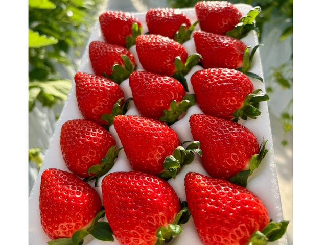 �܂�Ղ� ��������