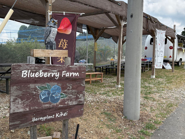 ̃x`Ńu[x[オ蒸A_cafe䕉ʂ̃Lb`J[Ŏg300~gāAXptFAX[W[オ蒸܂B_ݏu[x[