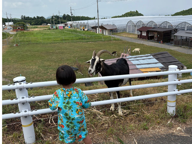 u[x[̑OɎRr11̃t@~[Ao}I傫ȗtςČJ𐁂ƁAFȑĊė܂B_ݏu[x[