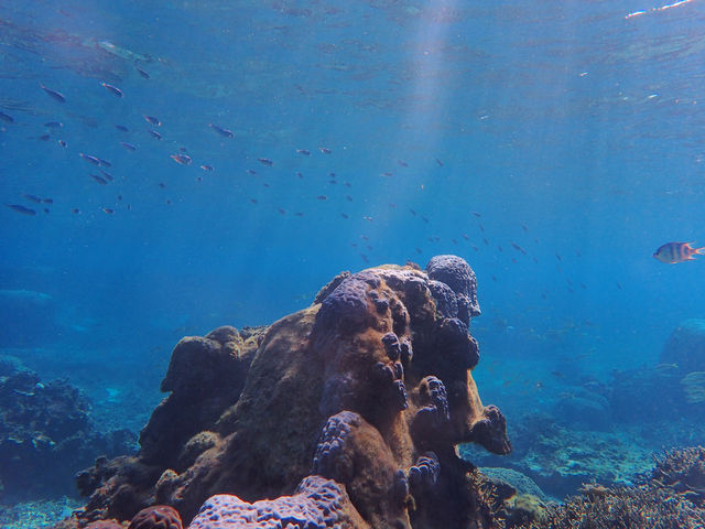 �}�����A�N�e�B�r�e�BSAM