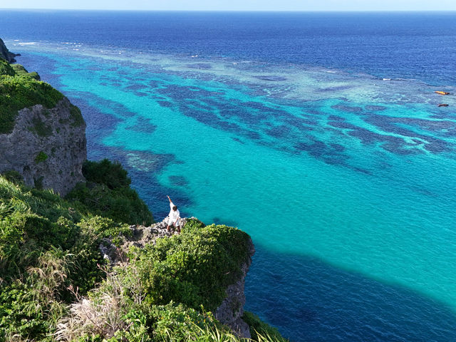 �}�����A�N�e�B�r�e�BSAM