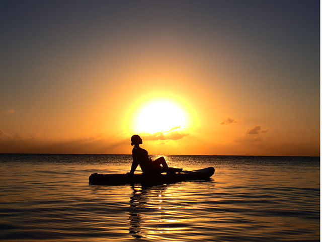 �}�����A�N�e�B�r�e�BSAM