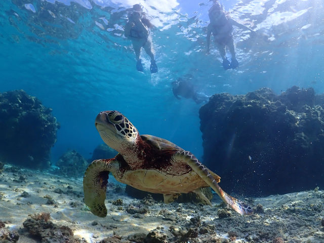 �}�����A�N�e�B�r�e�BSAM