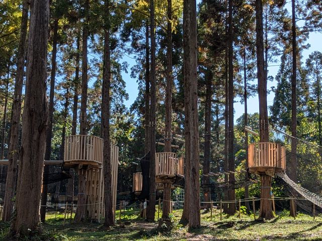 X_Ȉn{ic[gbvAhx`[BX삯u𖡂킨I_{EPm LOX