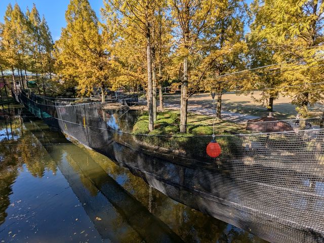 `̍Ԃɂ́AlG܁X̔Rɖ₳āBHɂ͑N₩ȍgty߂܂B_{EPm LOX