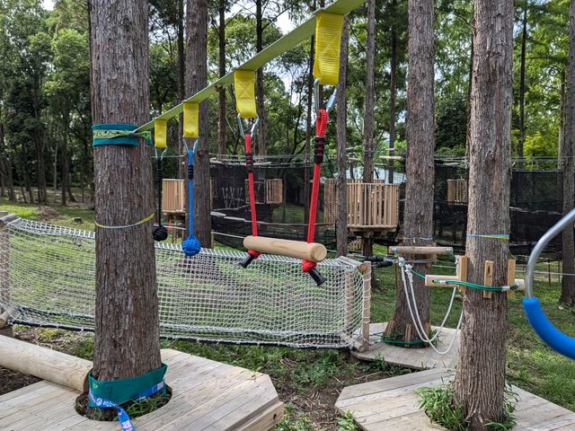 Ȃql̖`fr[ɁISɔzꂽȗVŁAv̂𓮂܂B_{EPm LOX