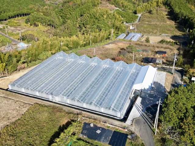 RF�t�@�[��