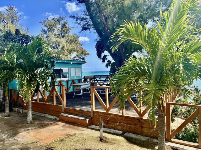 ���ꃊ�o�e�B�}�����N���u�̎ʐ^1