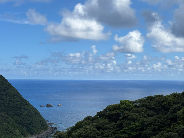 �����哇�A�Z�p���a���������
�i��_�X�̗d��