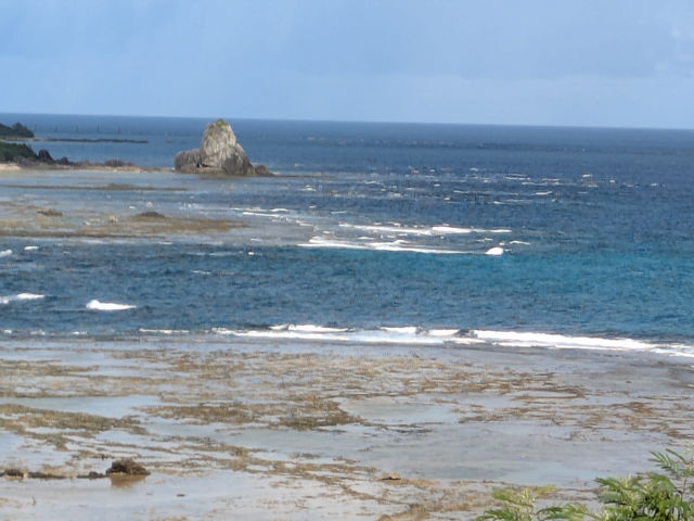 �����哇�A�}�����y�l�̗��_
�p���[�X�|�b�g�B
11�����`�U�g�E�N�W���̎p�����鎖���o���܂��I�^���ǂ���΁B_�X�̗d��