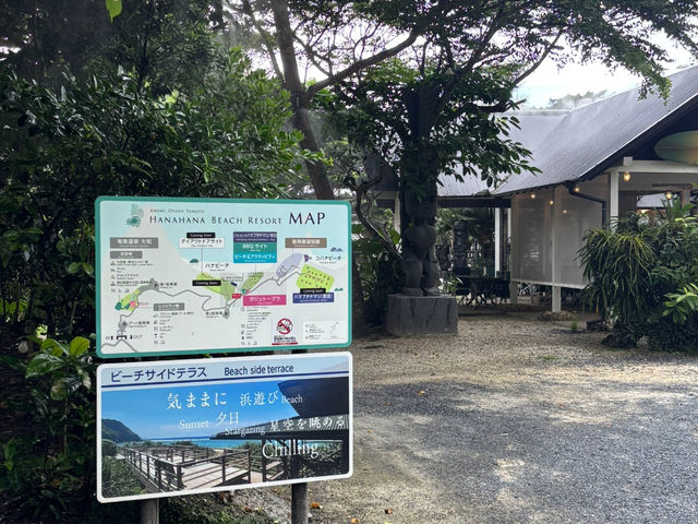 ��a���n�i�n�i���򃊃]�[�g�r�[�`
_�X�̗d��