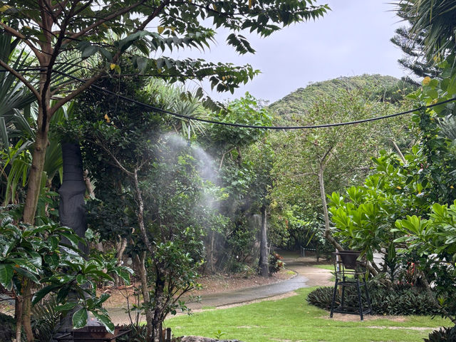 ���z�I�Ȏ��R�̒����U��A����A�@�����`�A�h�����o���܂��B_�X�̗d��