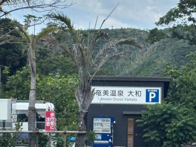 ��a���n�i�n�i���򃊃]�[�g�ŁA
�������܂����肵�܂��񂩁H_�X�̗d��