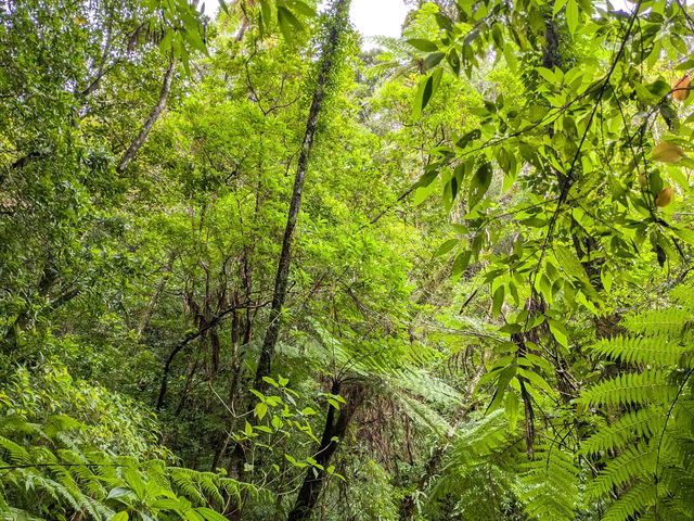 ���E���R��Y�o�^���A���쌴������
���̐[�ċz�����܂��傤�I

_�X�̗d��