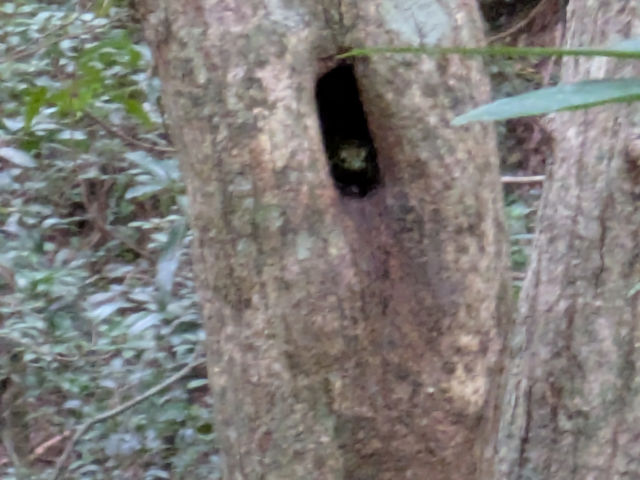 �X�̗d���̎ʐ^1