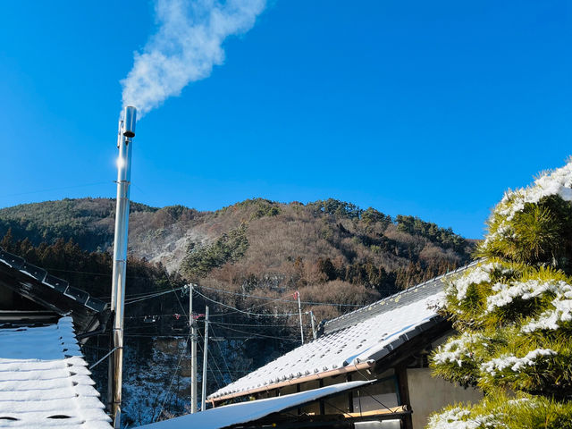 �d�{�C���[�i�~�j_�Ö��Ƃ��h��������