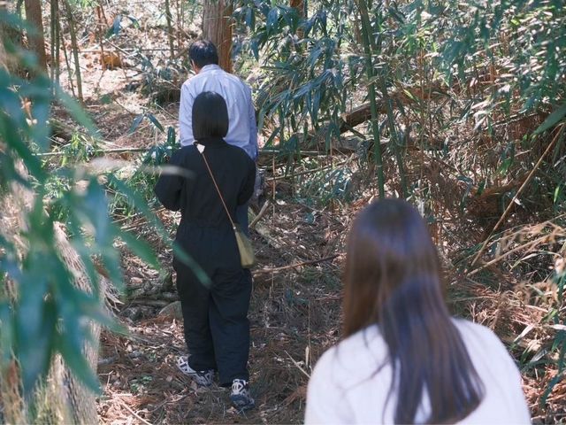 ���L�n�̒|�M_�Ö��Ƃ��h��������