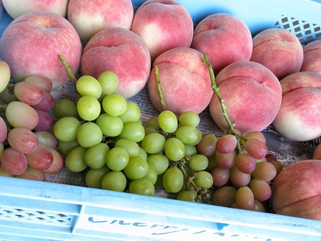 �^�C�~���O�������ƁA�T���V���C�����b�h�E�V���C���}�X�J�b�g�E�����甒���Ɠ����ɖ��킦�鎖���I_������`�ӂ��`��