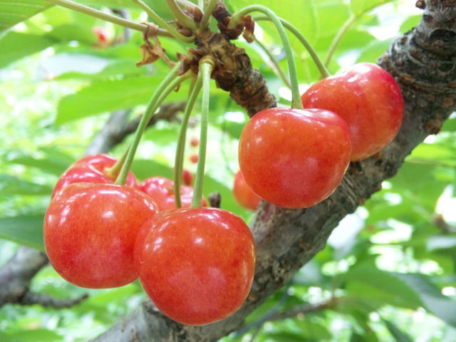 ������\�i���"�g�G��"_������`�ӂ��`��