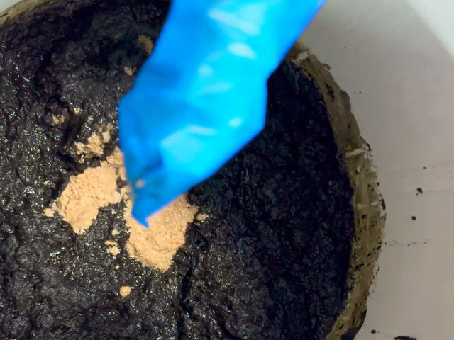 �������ւ̂��сB���ہi�������j�����C�Ɋ��������邽�߂ɁA�h�{���𓊓��B�ӂ���(�����̔�)���ςĂ�������邱�ƂŁA���y�𑣐i�����܂��B_���ʃN���t�g�J�t�F