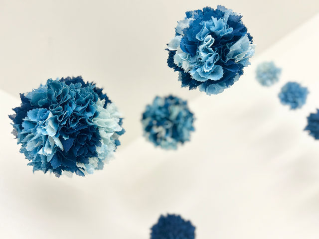 �ؖȂ⃊�l���ȂǁA���܂��̈قȂ�قȂ�f�ނ�g�ݍ��킹�邱�ƂŁA���̓�������ɂ���Ă��܂��܂ȕ\��������Ă���܂��B_���ʃN���t�g�J�t�F