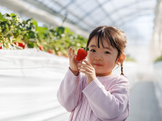 �O�����������p�[�N