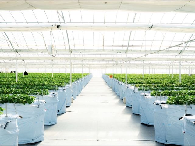 �O�����������p�[�N