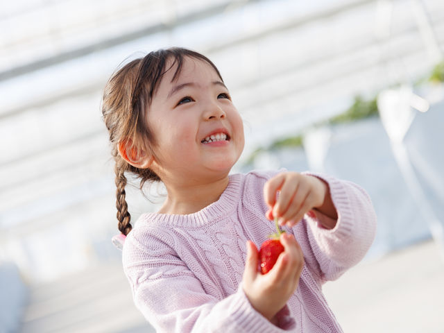 �O�����������p�[�N