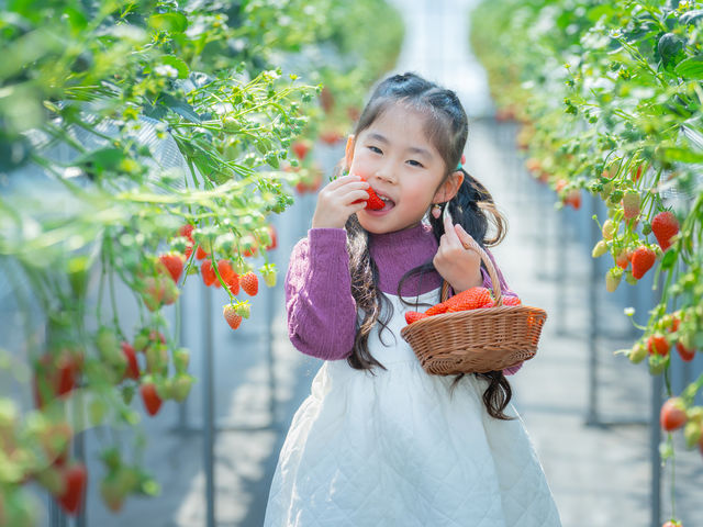 STRAW VILLAGE(XgBbW)̎ʐ^1