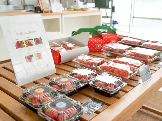 �������₨�Ă̔̔������Ă��܂��B_STRAW VILLAGE(�X�g�����B���b�W)