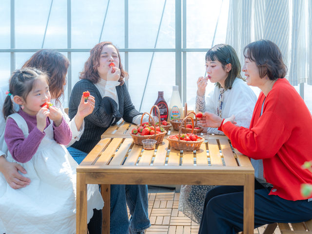 STRAW VILLAGE(XgBbW)