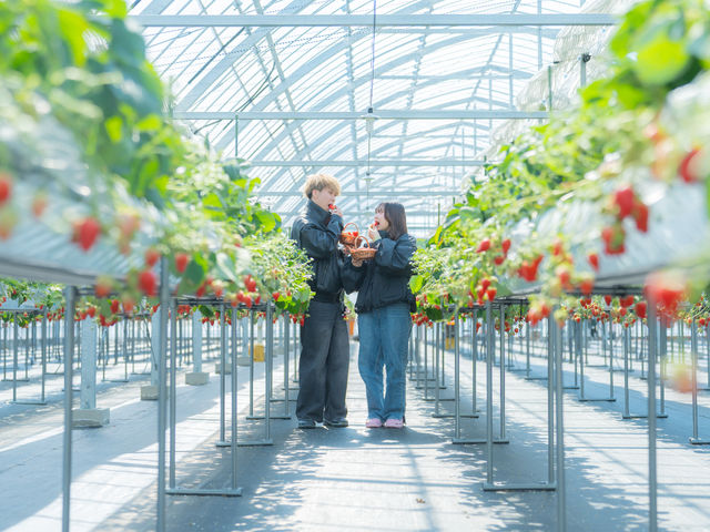 STRAW VILLAGE(XgBbW)