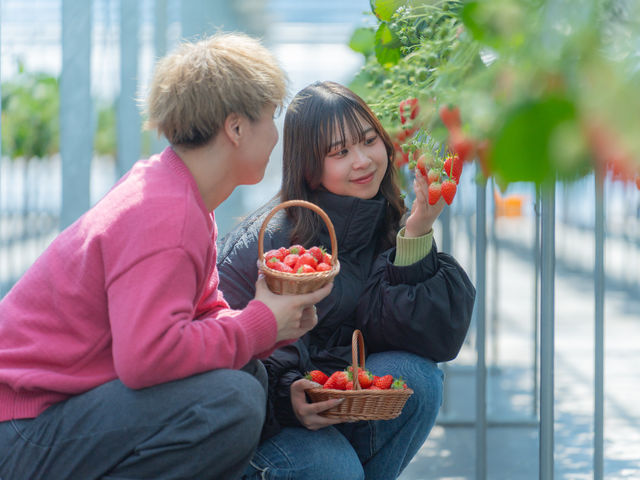 STRAW VILLAGE(XgBbW)