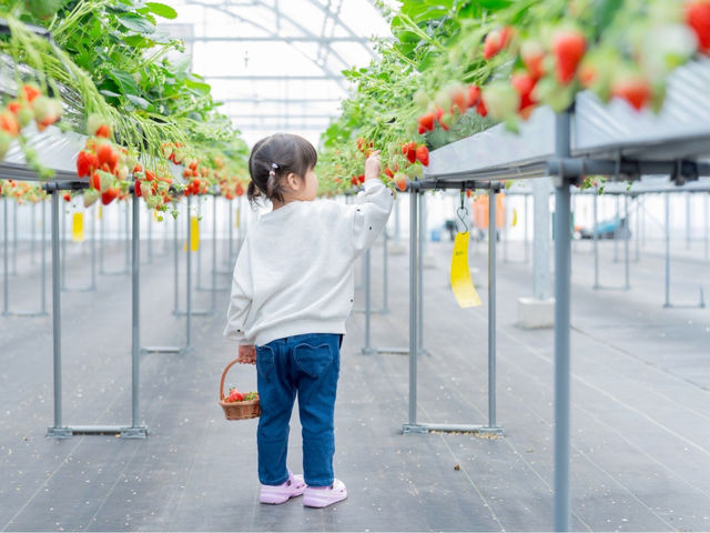 �����Ȃ��q�l���肪�͂������ɂȂ��Ă��܂��B_STRAW VILLAGE(�X�g�����B���b�W)