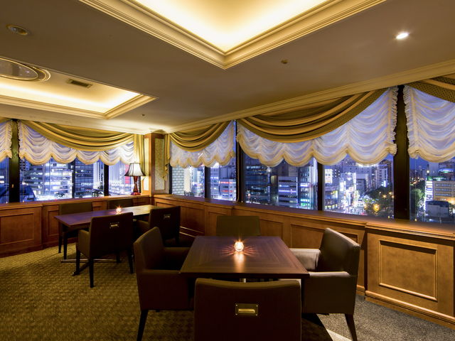 ���̖�i�����\�ł���o�[���E���W��Ԕ�s_�����q�z�e��