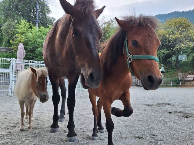 ���S�����߂Ċe���n���񂽂����琬���Ă���܂��̂ŁA�l�ɂ��񂾂�R������Ȃǂ͒v���܂���I
���ۂɂ��Ă���̂��n���񂽂��͂����I����Ől���������ł��I_�ۂɂ��Ă���