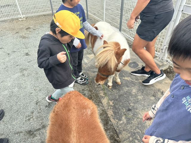 �������Ȃ��q�l�����S���S�ɂӂꂠ���G���A�ւ����ꂢ�������܂��I
���v���o�ɏ����Ȃ��n����ƈꏏ�Ɏʐ^���B��܂��傤�I_�ۂɂ��Ă���