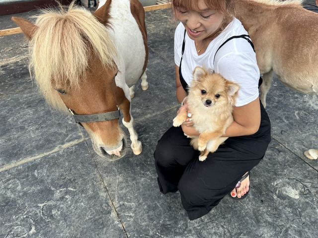 �����n����Ƃ̂ӂꂠ���G���A�ւ��e�킨�A��̃y�b�g����n�j�ł��I
���n�Ƃ̂ӂꂠ�����A�n�Ƃ̂��U���̌��Ȃǂ����ׂē����C������ɂĔ����ӔC�ی������ς݁I_�ۂɂ��Ă���