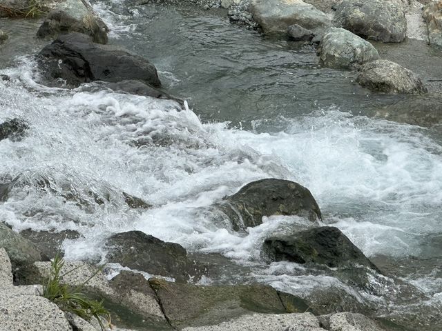 �ۂɂ��Ă���