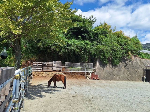 �ۂɂ��Ă���