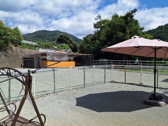 �ۂɂ��Ă���