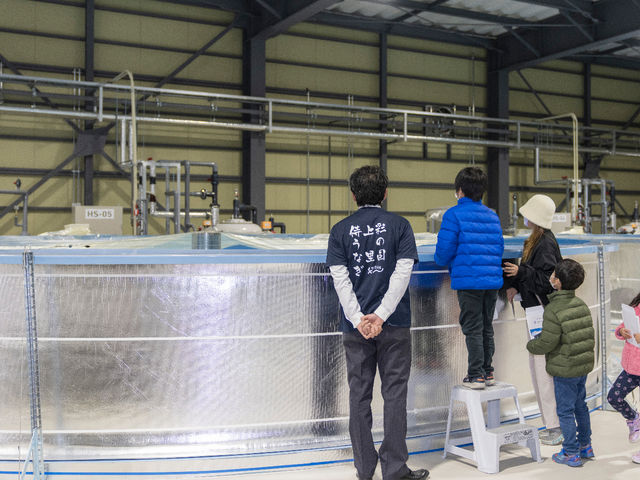 i͓Ȃ{BKChtłēBȐԋ߂ŌMdȑ̌łB_Y㗢halk