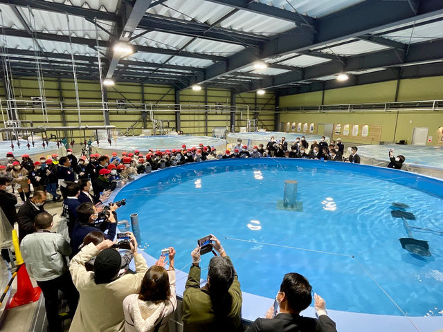 ȗ{B͂ŌwBz{B̃XP[̊ł܂B_Y㗢halk