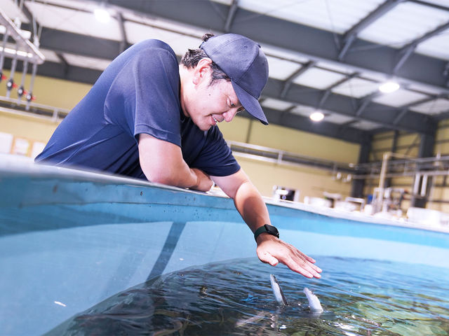 ₳鎔̎pBȂ̔͂琶܂܂B_Y㗢halk