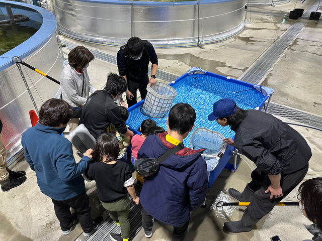 i͌邱Ƃ̂łȂ{BŁACɉjȂƂӂꂠʂȎԁB_Y㗢halk