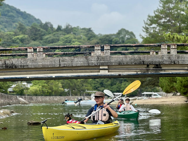 �{���V�[�J���b�NNossie